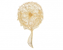 首届AJDC Jose Hess Design Awards获奖作品公布：Childhood Dream VI 蒲公